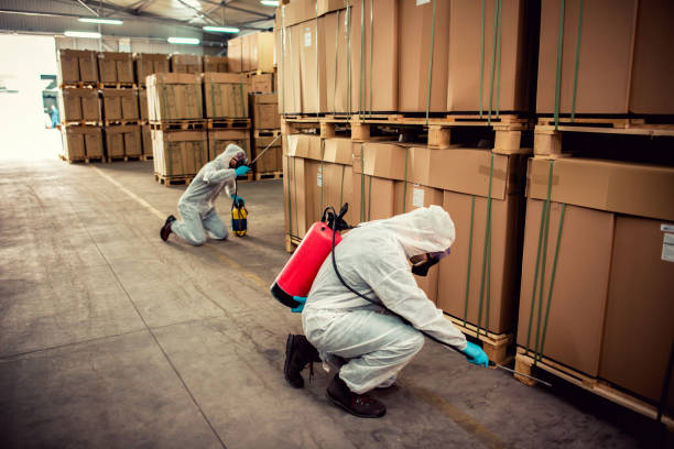 Best Pest Removal Services  in Silver Firs, WA