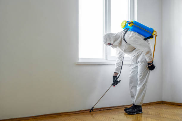 Best Pest Control Near Me  in Silver Firs, WA