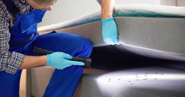 Best Best Pest Control Companies  in Silver Firs, WA